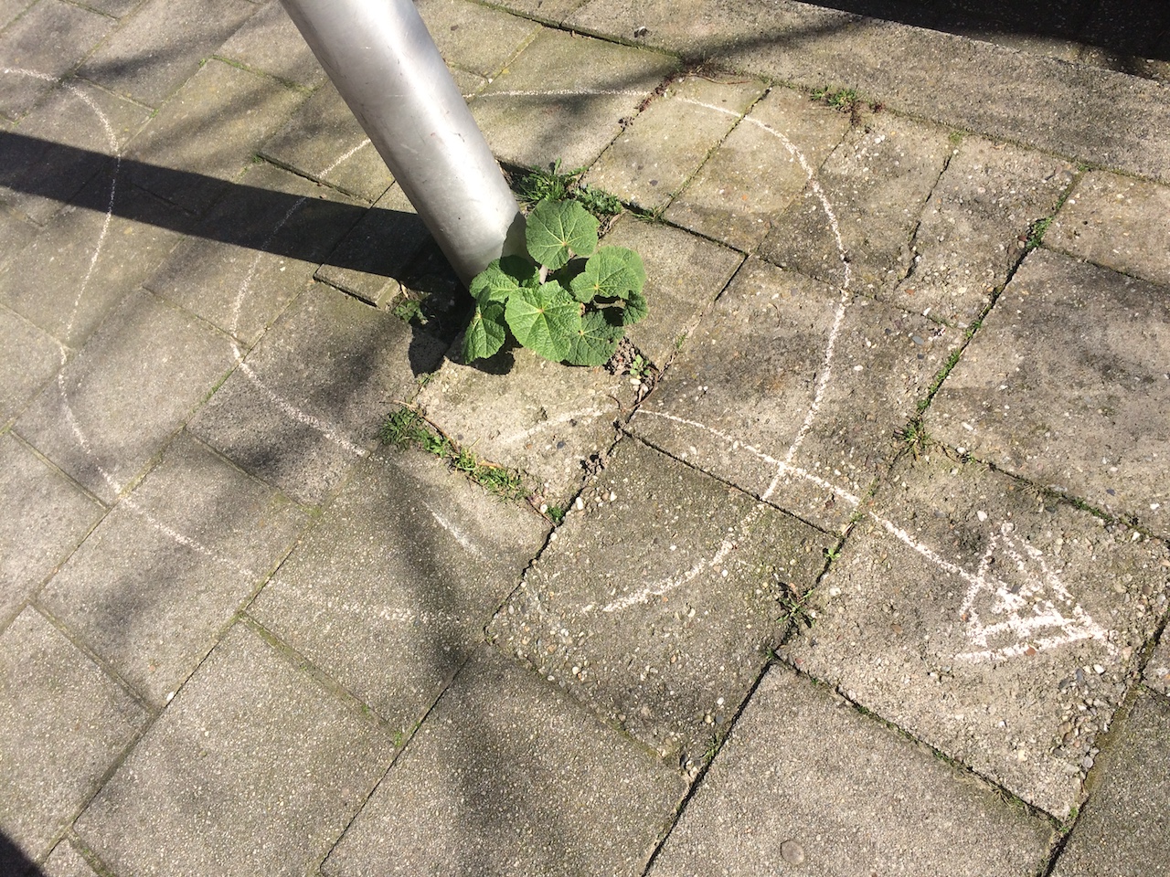 Andere kinderspeurtocht